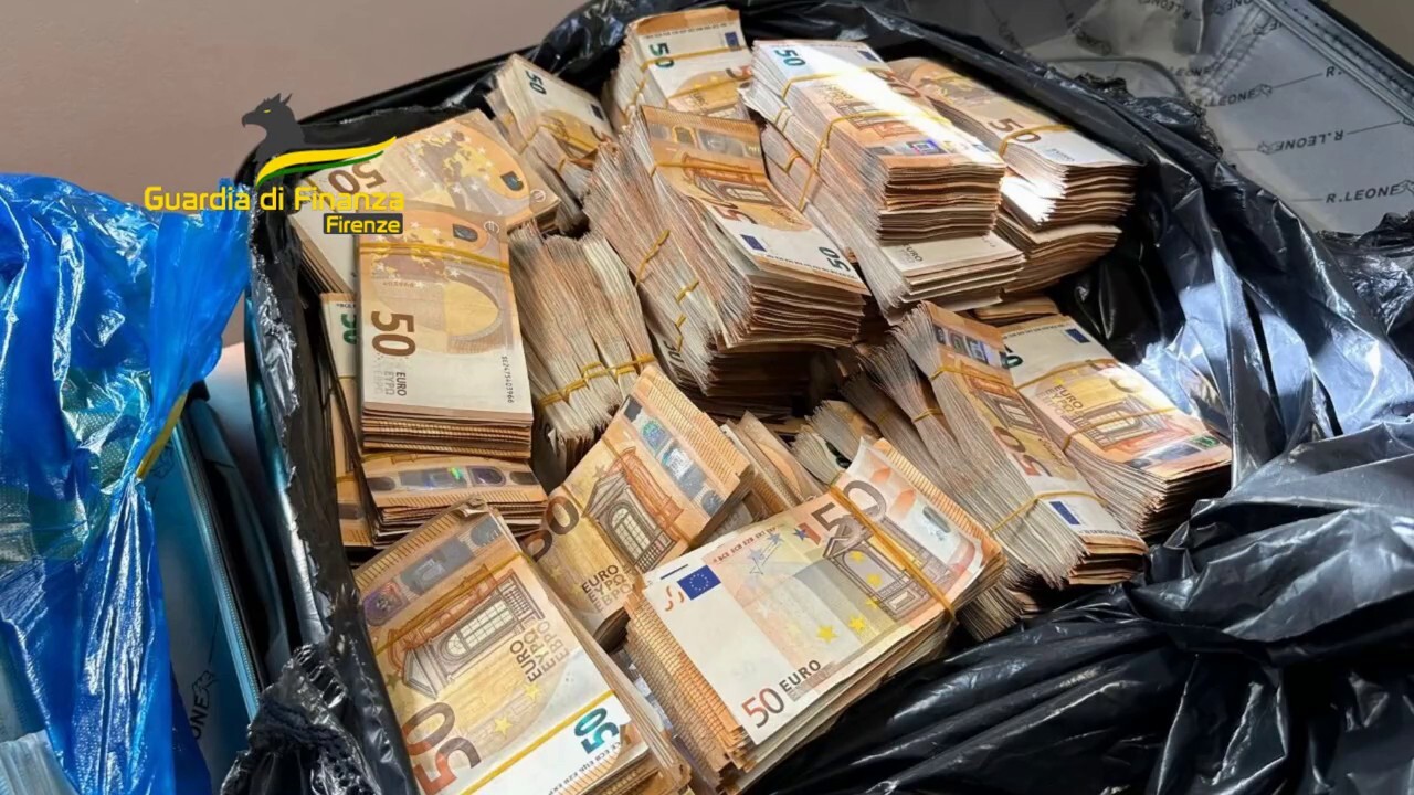 Italian police dog foils cash smuggling attempt, discovers over $1 million in suitcases at bus station