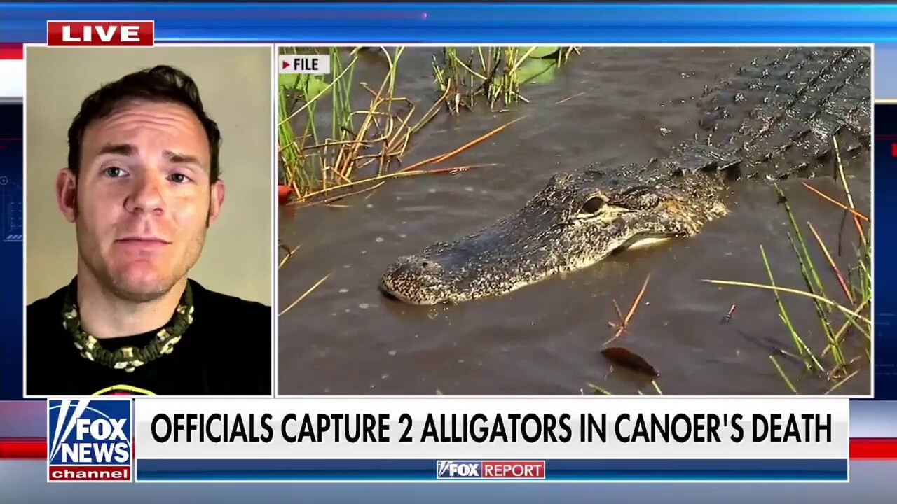 Officials capture 2 alligators in connection with Florida canoer’s death