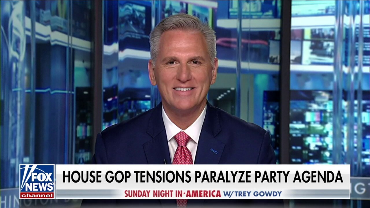 Kevin McCarthy: The Republican Party needs to come together