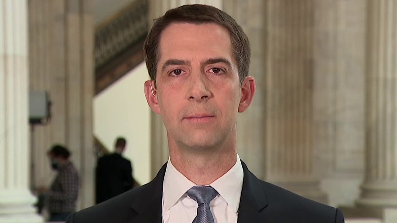 Tom Cotton on AOC blaming climate change on racial injustice