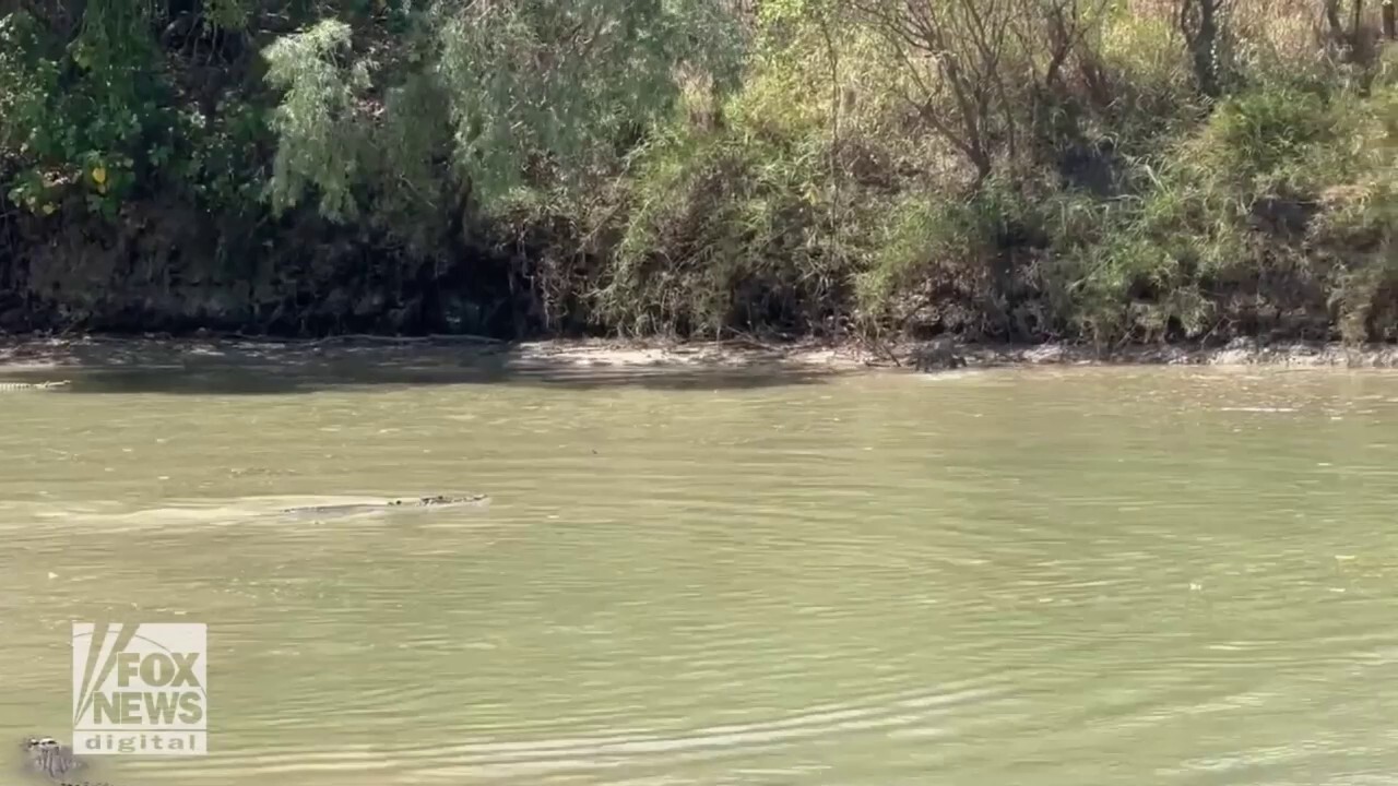  Fisherman is visited by lurking crocodiles along 'infamous' river crossing in Australia