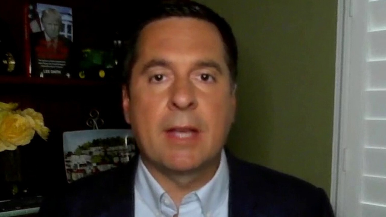 Rep. Devin Nunes on protesters rallying against stay-at-home orders