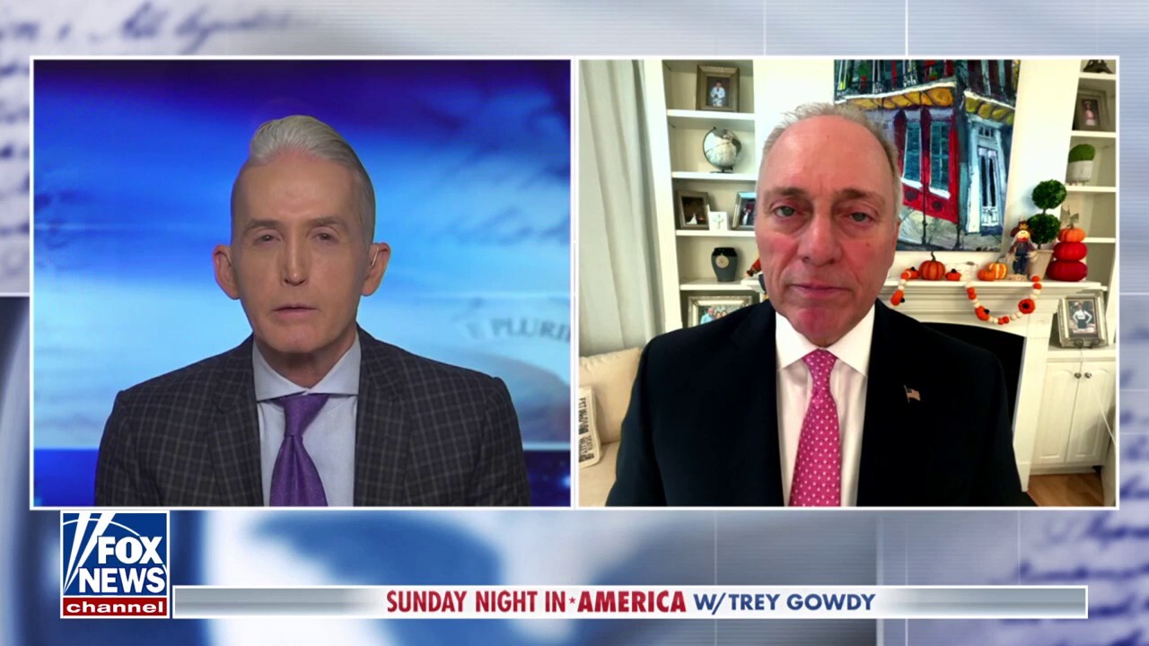 Chuck Schumer ‘seems to only care’ about his political future, says Steve Scalise
