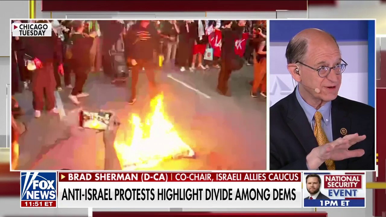 California Dem reacts to division over anti-Israel protests: Hamas 'is against an immediate cease-fire'