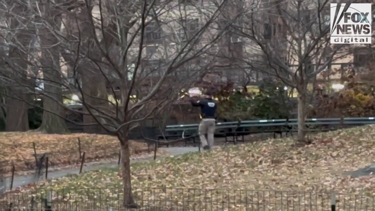 Police search Central Park for evidence in the shooting death of CEO Brian Thompson