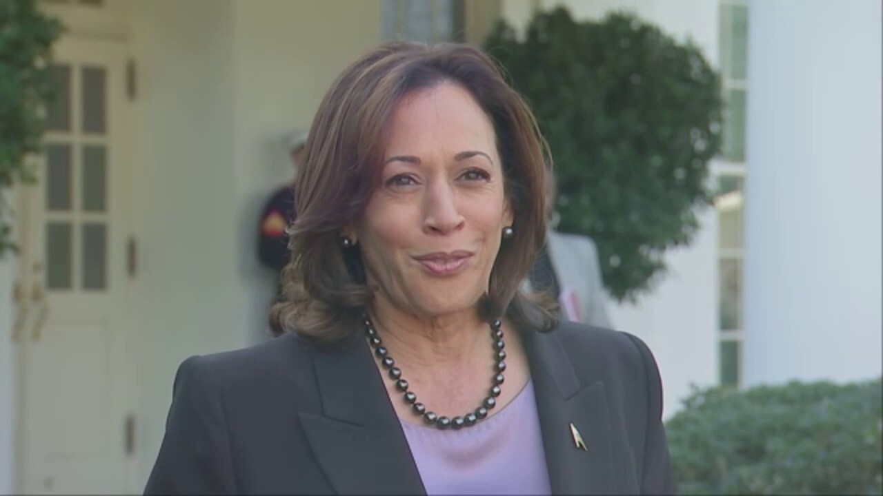 Kamala Harris says 'obviously there's a lot of work' needed to win re-election in 2024