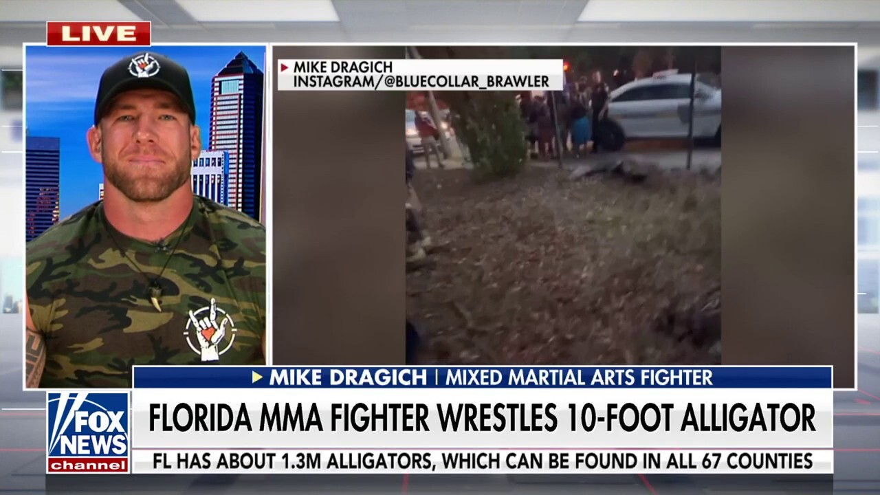 Florida MMA fighter takes on 10-foot alligator outside elementary school: 'I knew the job had to get done'