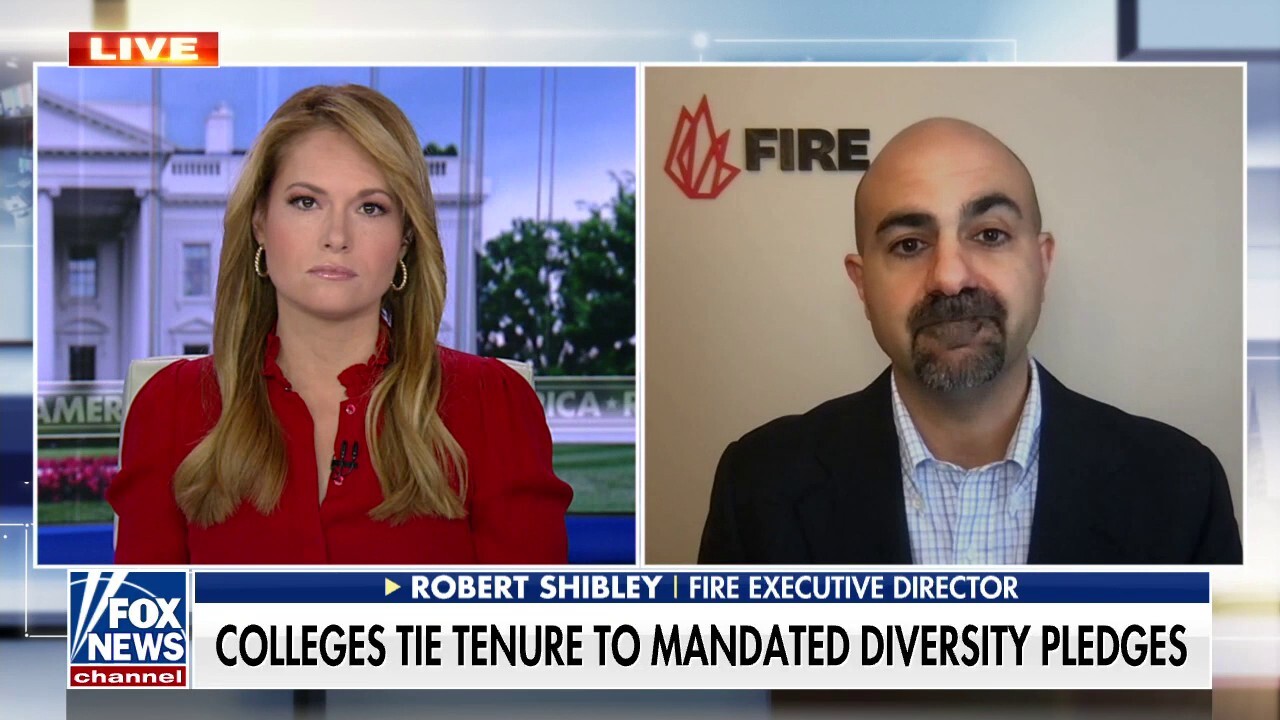 Education activist calls D.E.I. requirements at universities ‘political litmus tests’