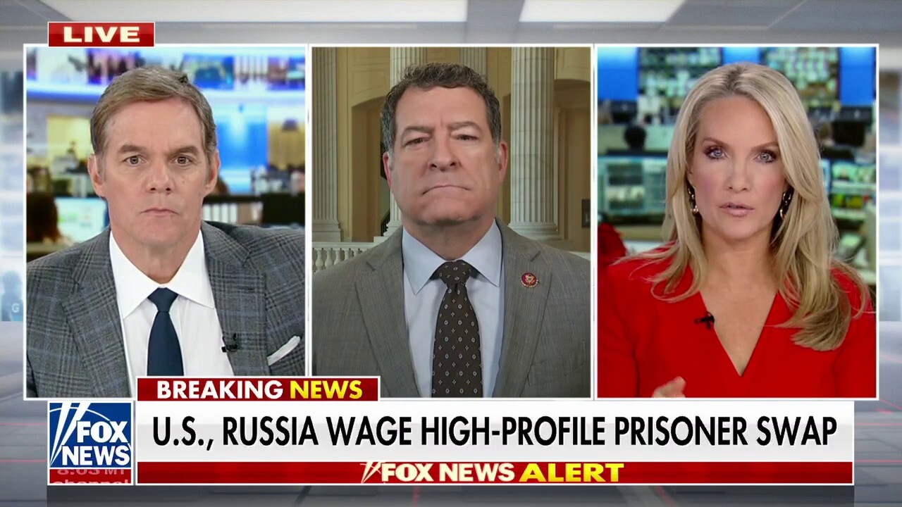 Rep. Mark Green slams Biden's 'weakness' for failing to secure Paul Whelan's release: 'Terrible message to send' 