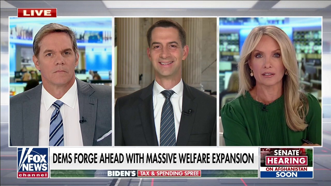 Tom Cotton torches Dems' massive welfare expansion: 'Everyone gets a free lunch and a pony ride'