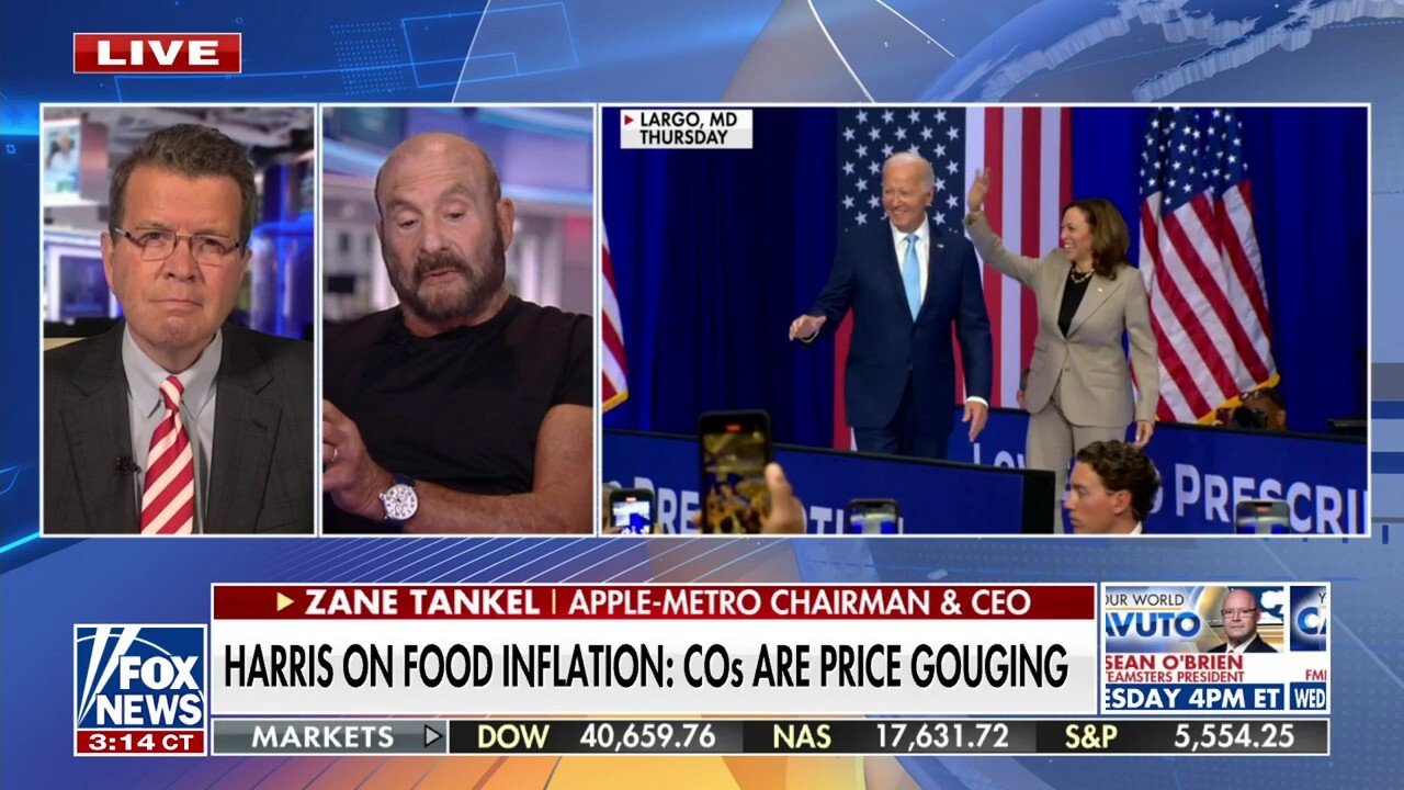 Zane Tankel warns against Kamala Harris' economic plan: 'Will take many years to unwind'