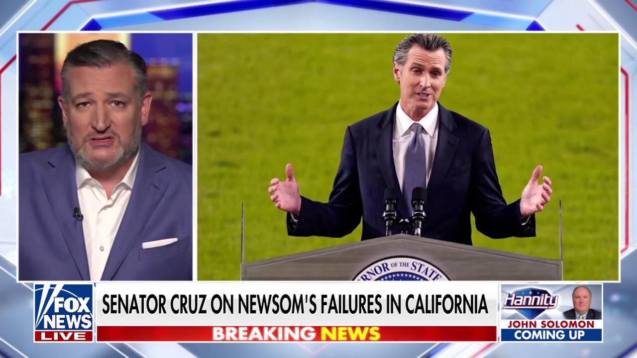 Ted Cruz: Gavin Newsom is very good at running away from the facts