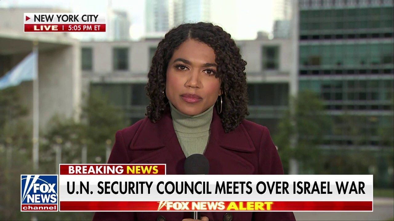 Pro-Israel supporters gather as UN Security Council meets