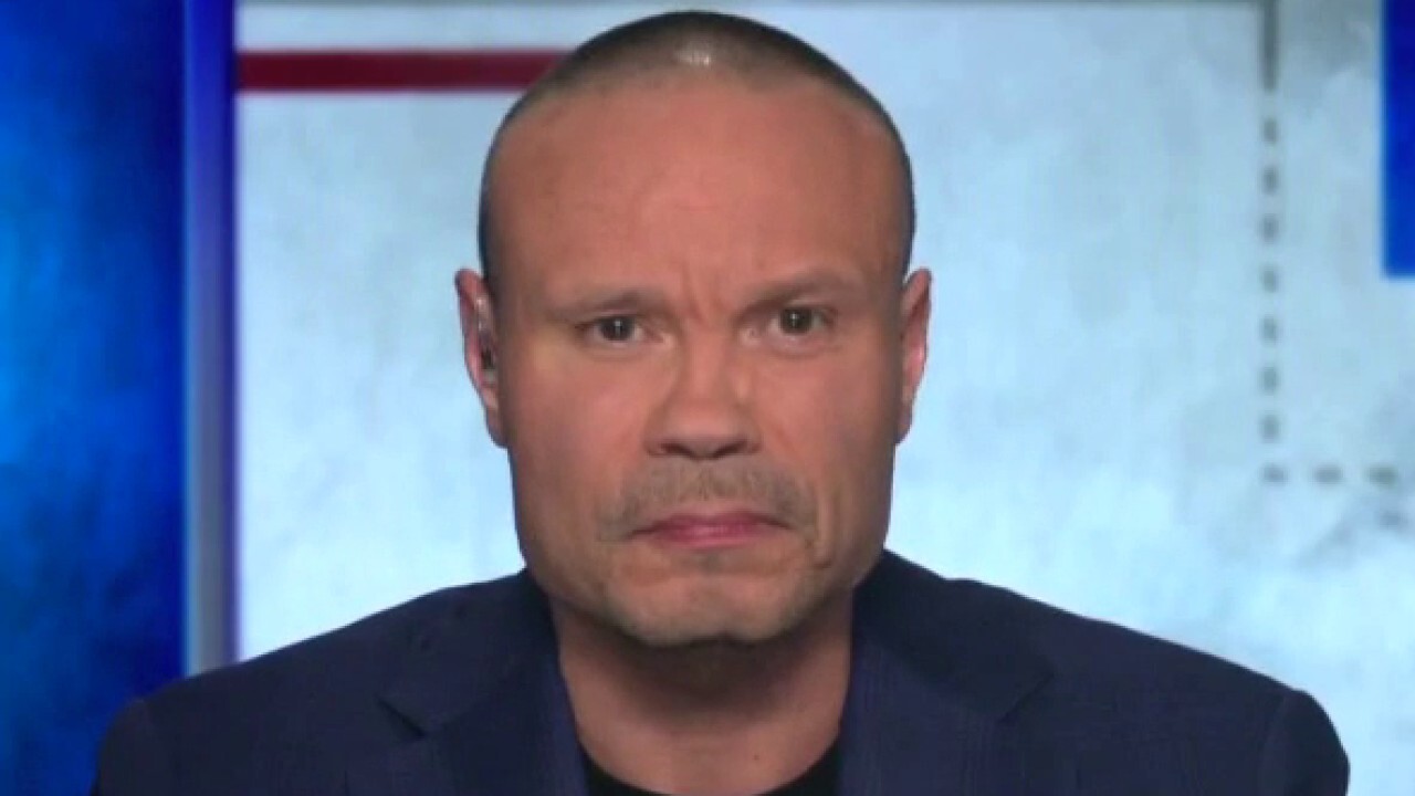 'Are the Democrats dumb or are they purposefully destroying the country?': Dan Bongino