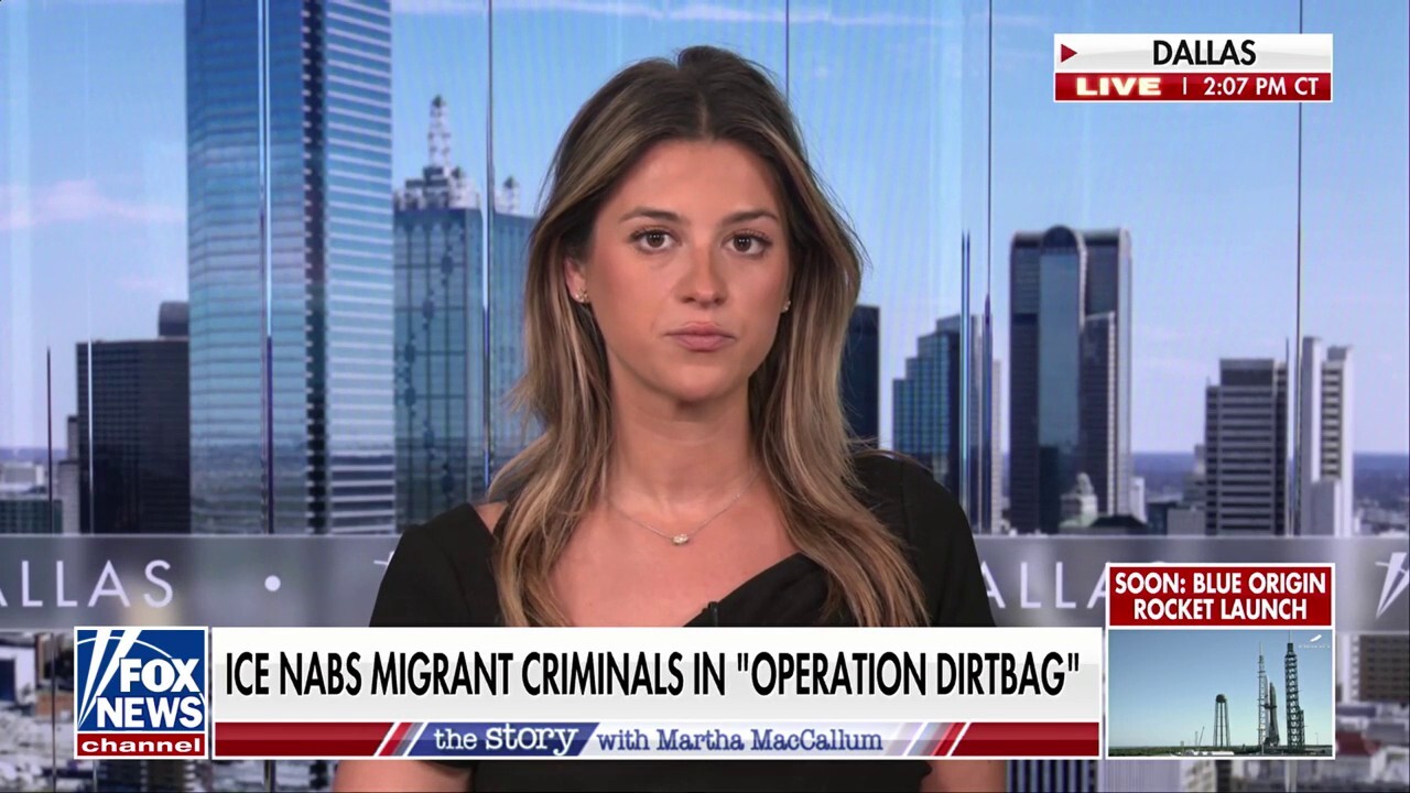 ICE and Florida law enforcement arrest criminal illegal immigrants in 10-day crackdown