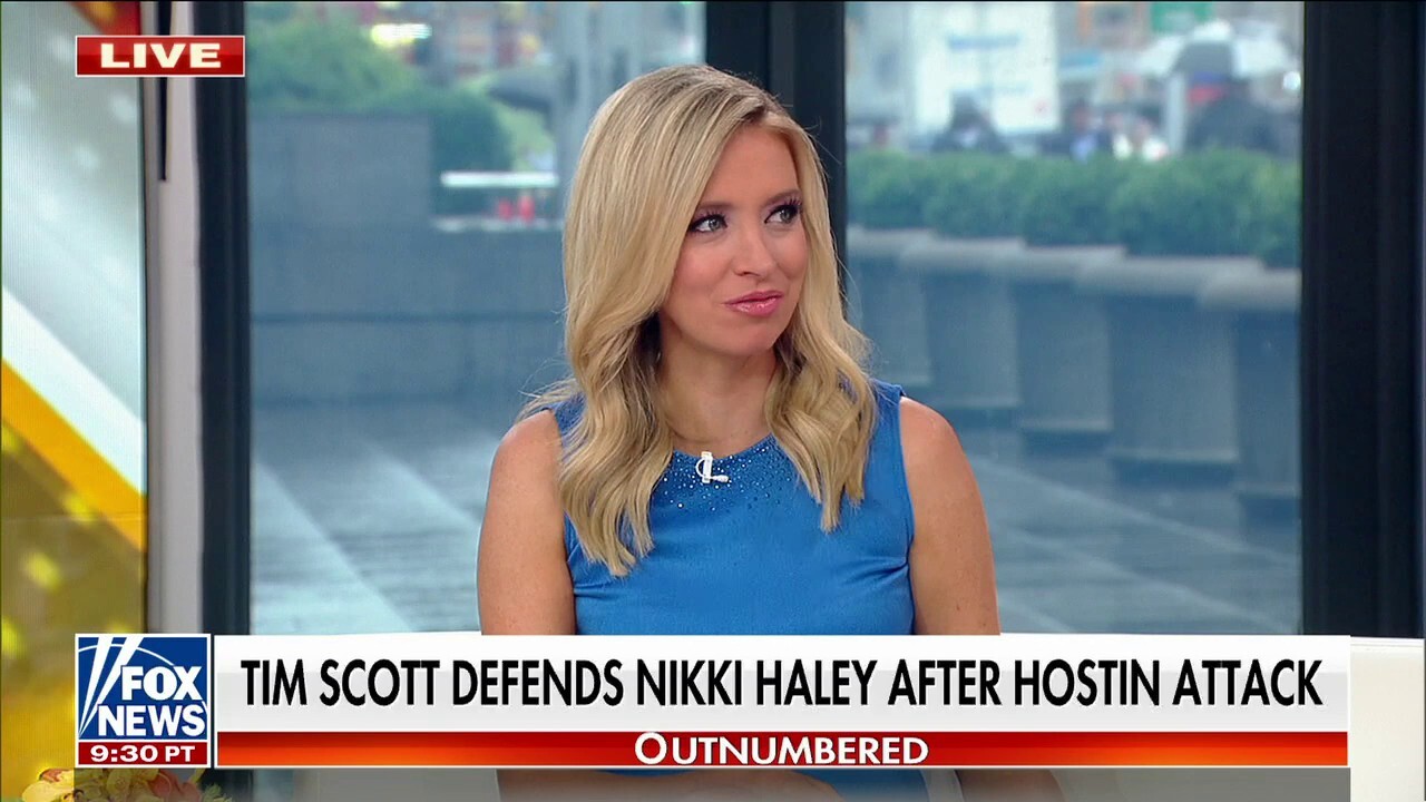 Sen. Tim Scott slams Sunny Hostin after she attacked Nikki Haley on 'The View'