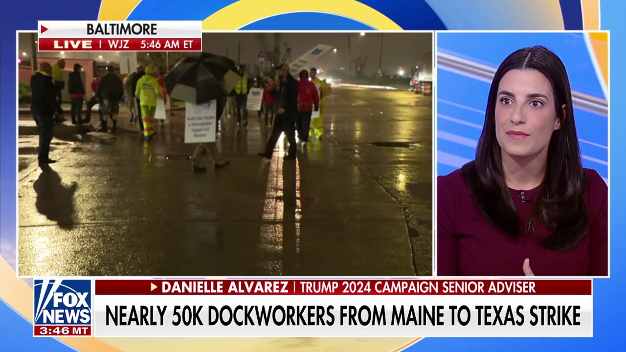 Biden-Harris admin roasted as dockworkers strike hits one month away from election : 'Asleep at the wheel'