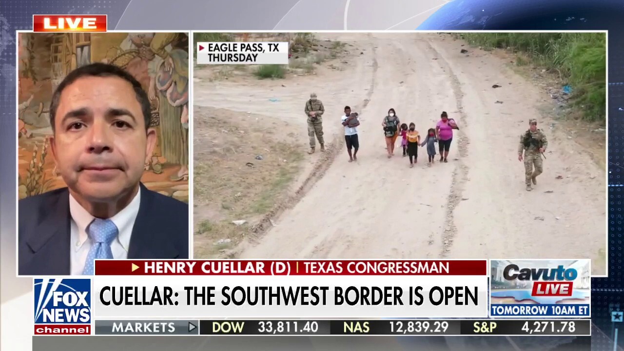 Borders will be 'wide open' after May 23: Cuellar