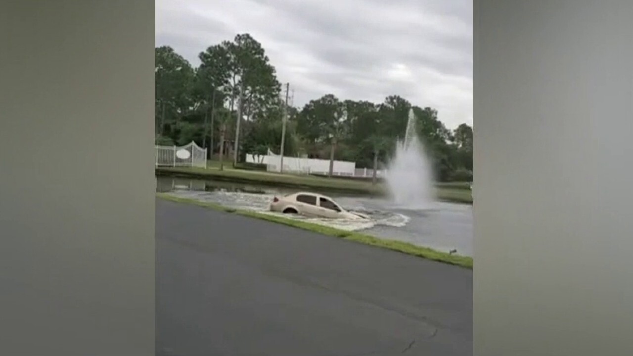 FL police rescue kids after car plunges into pond