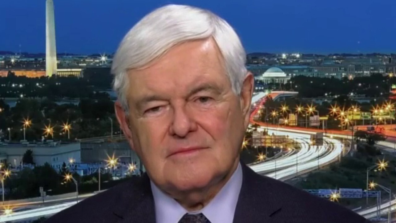 Gingrich on debate: Democrats were arguing like children