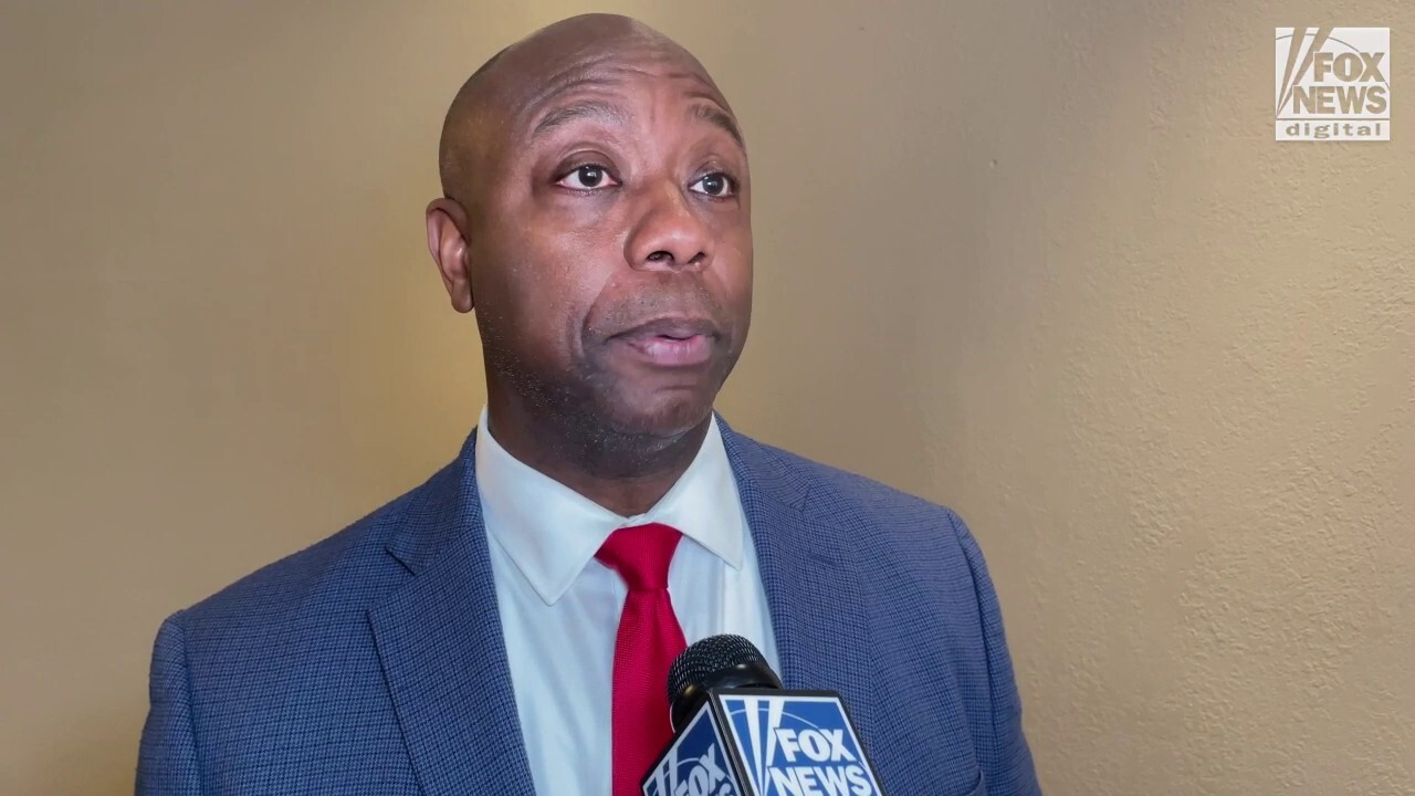 Sen. Tim Scott says stories about his martial status have been planted