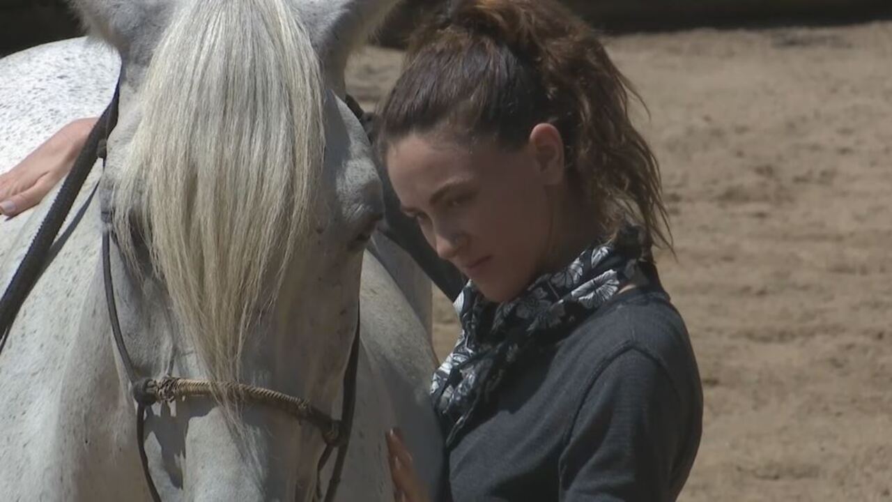 People seek out mental health benefits of horse therapy during the pandemic