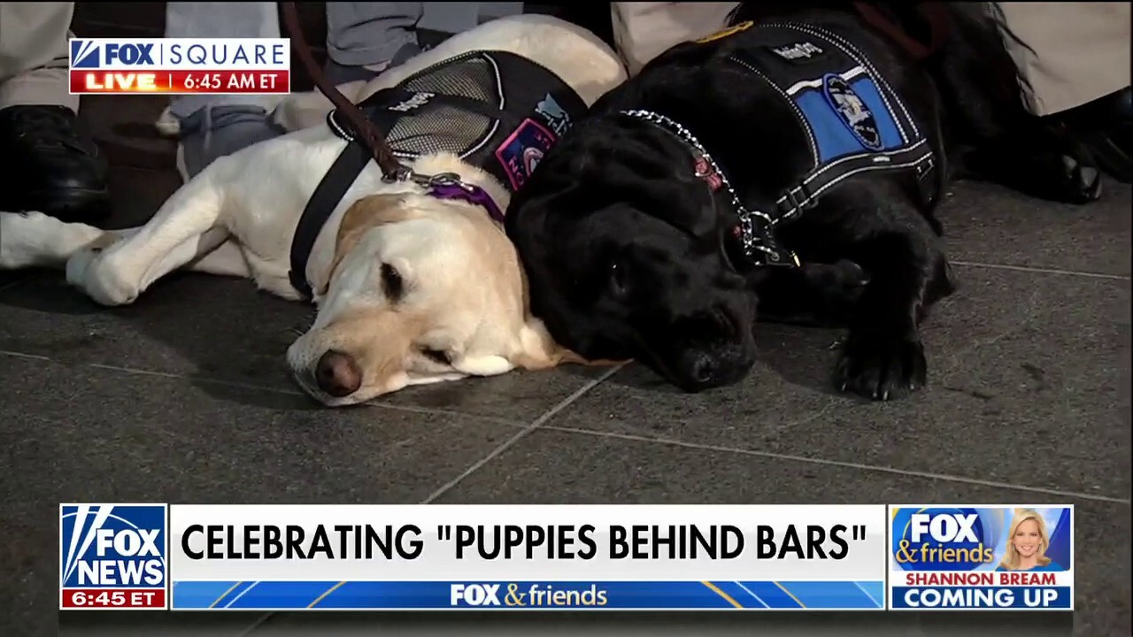 'Puppies Behind Bars' celebrates 25 years of raising service dogs