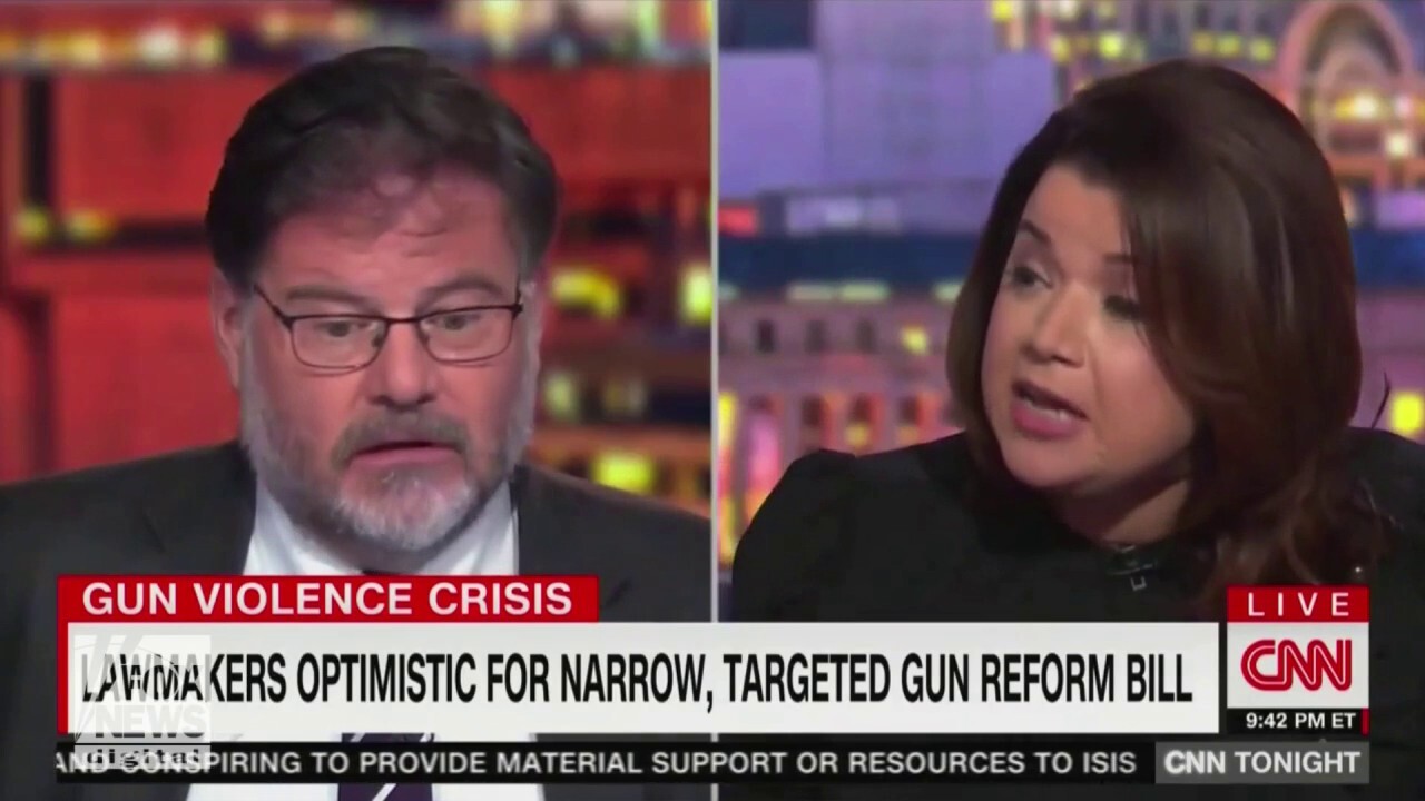 Ana Navarro loses it on CNN Tonight gun control debate