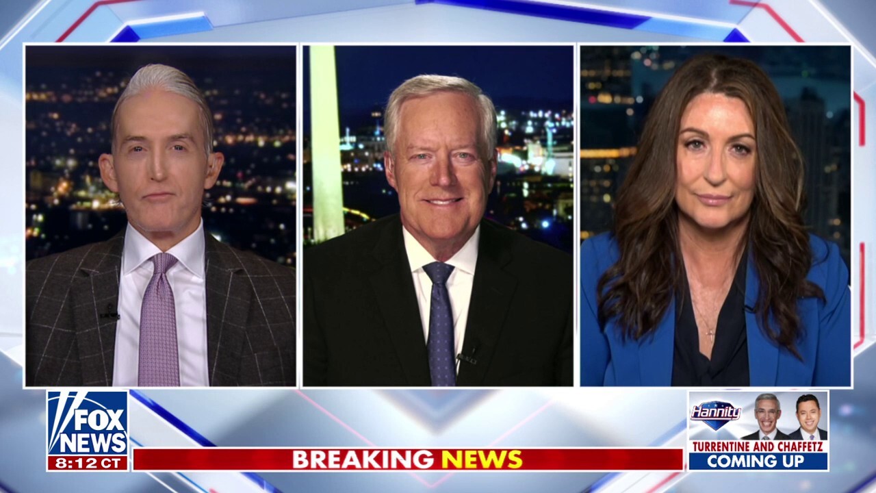  'Hannity' panelists Trey Gowdy, Miranda Devine and Mark Meadows unpack the Left's response to President Donald Trump's crime crackdown.