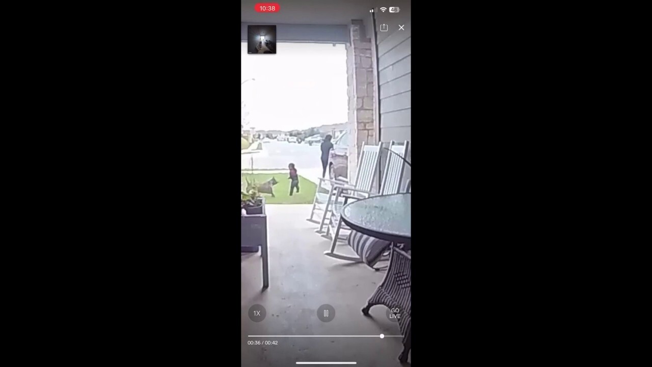 Майка от Тексас, видяна на видео как се бие с питбул, който нападна малко дете