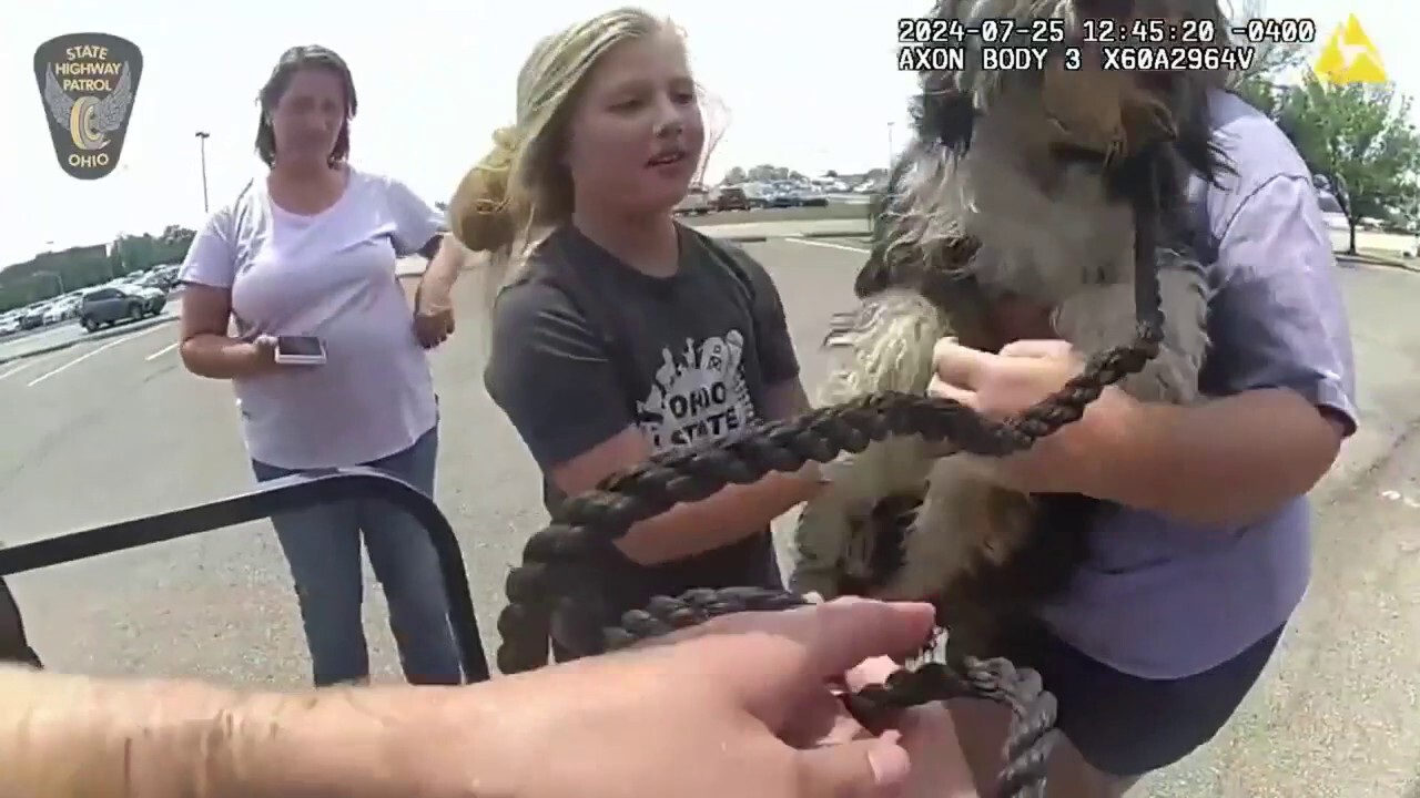 Police officer safely rescues dog from train tracks