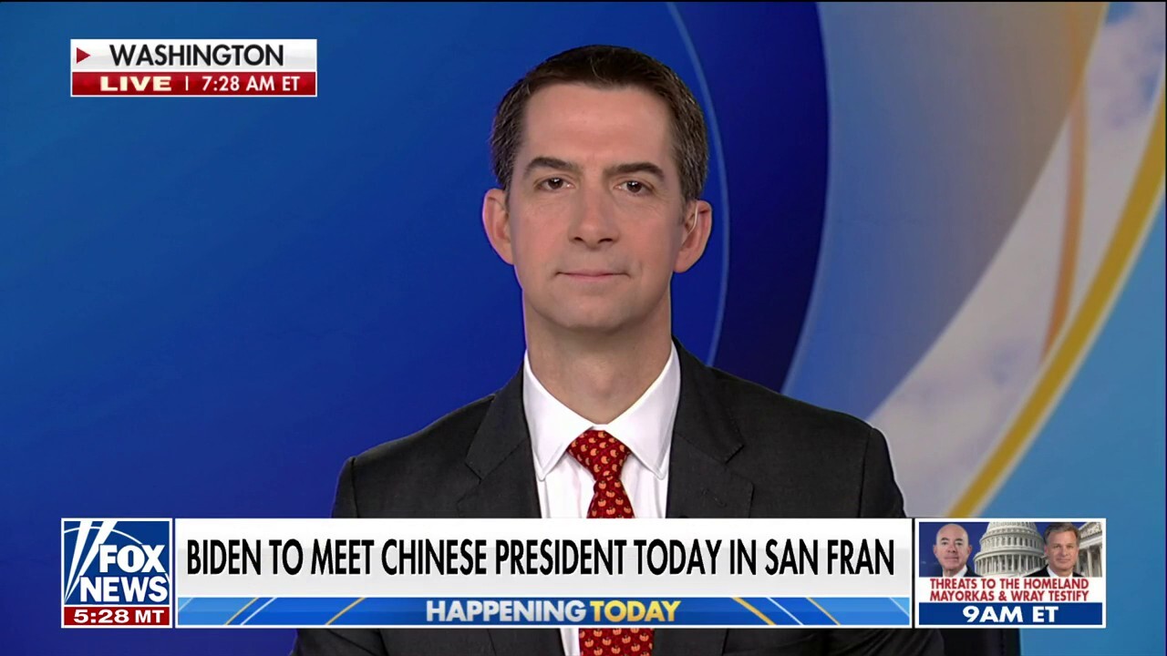 Sen. Tom Cotton: I’m ‘very skeptical’ of Biden’s meeting with China’s Xi Jinping