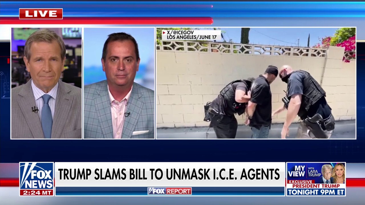 Former ICE director says LA judge ruling to control ICE raids is ‘tremendous overreach’