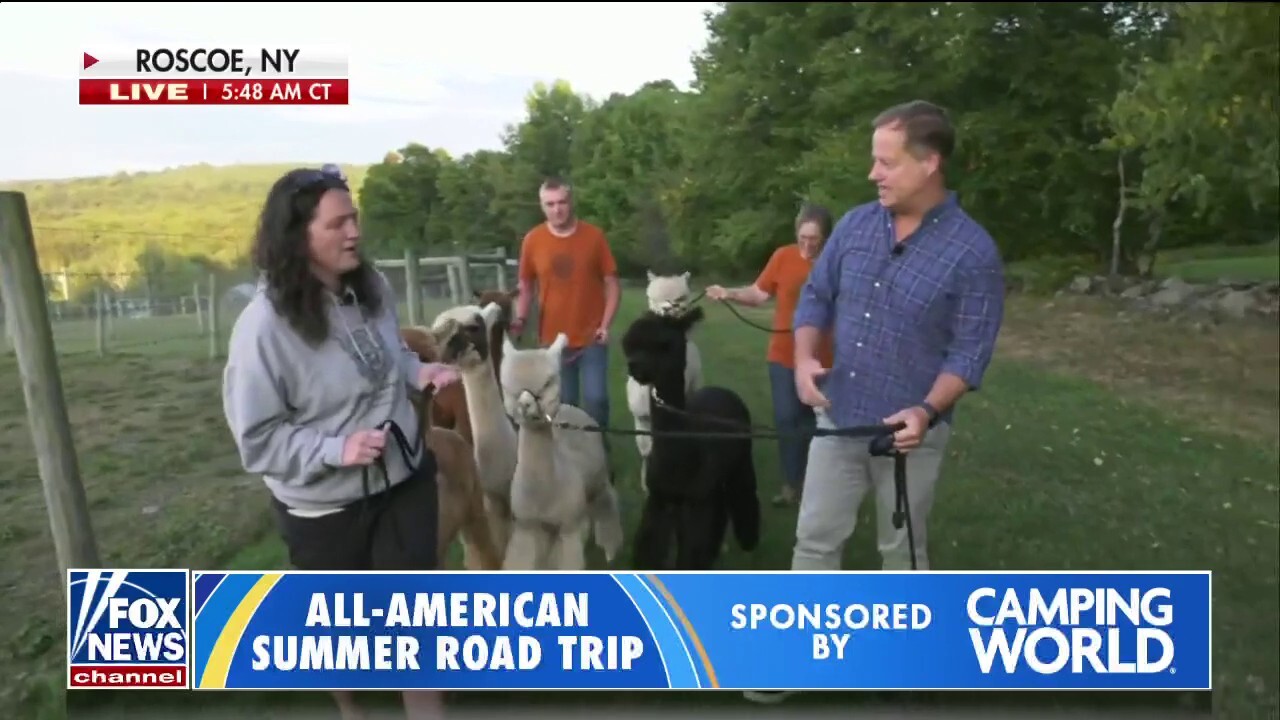 Rick Reichmuth visits an alpaca farm in the Catskill Mountains