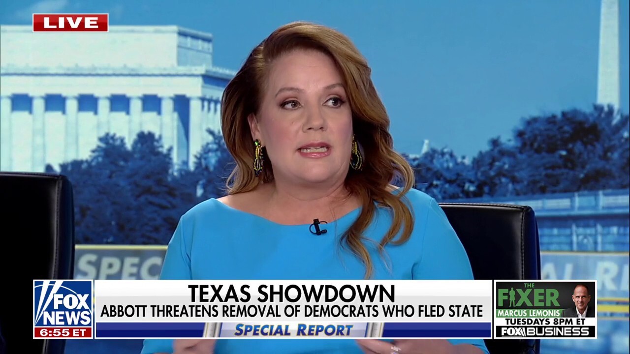 Democrats 'squeezed everything they can' out of this type of redistricting: Mollie Hemingway