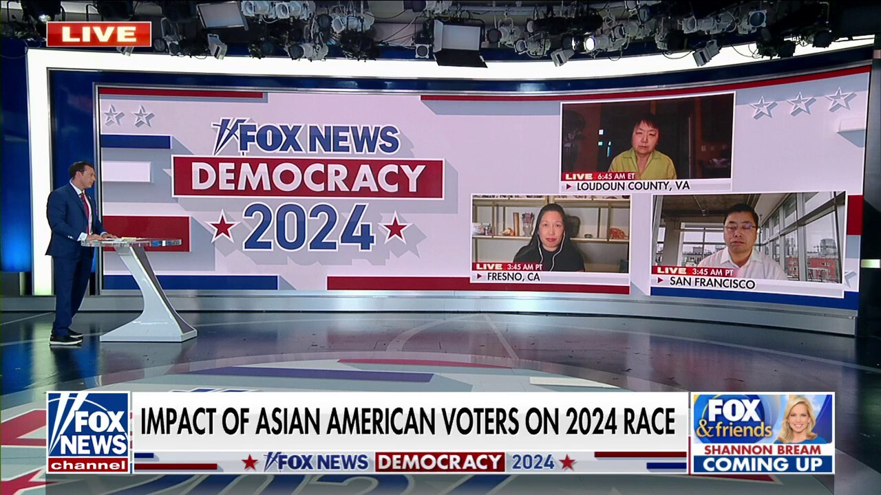 Impact of Asian American voters on 2024 race
