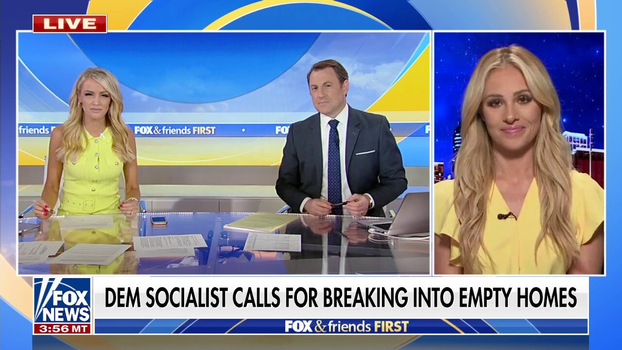Radical Democratic Party tells people to be 'lawless': Tomi Lahren