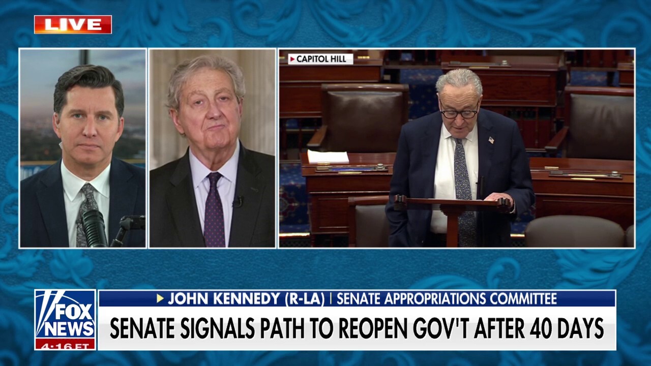 Schumer 'chose' to have the government shutdown: Sen. John Kennedy