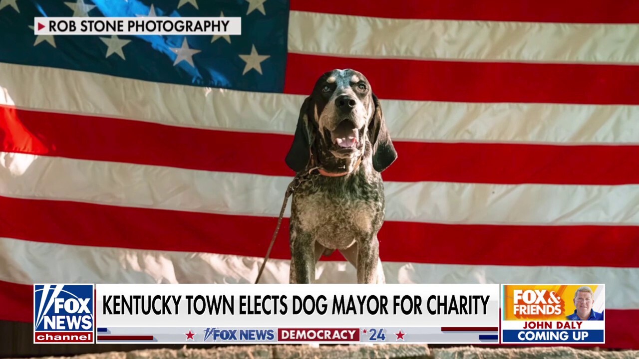 Kentucky town elects dog mayor to raise money for charity