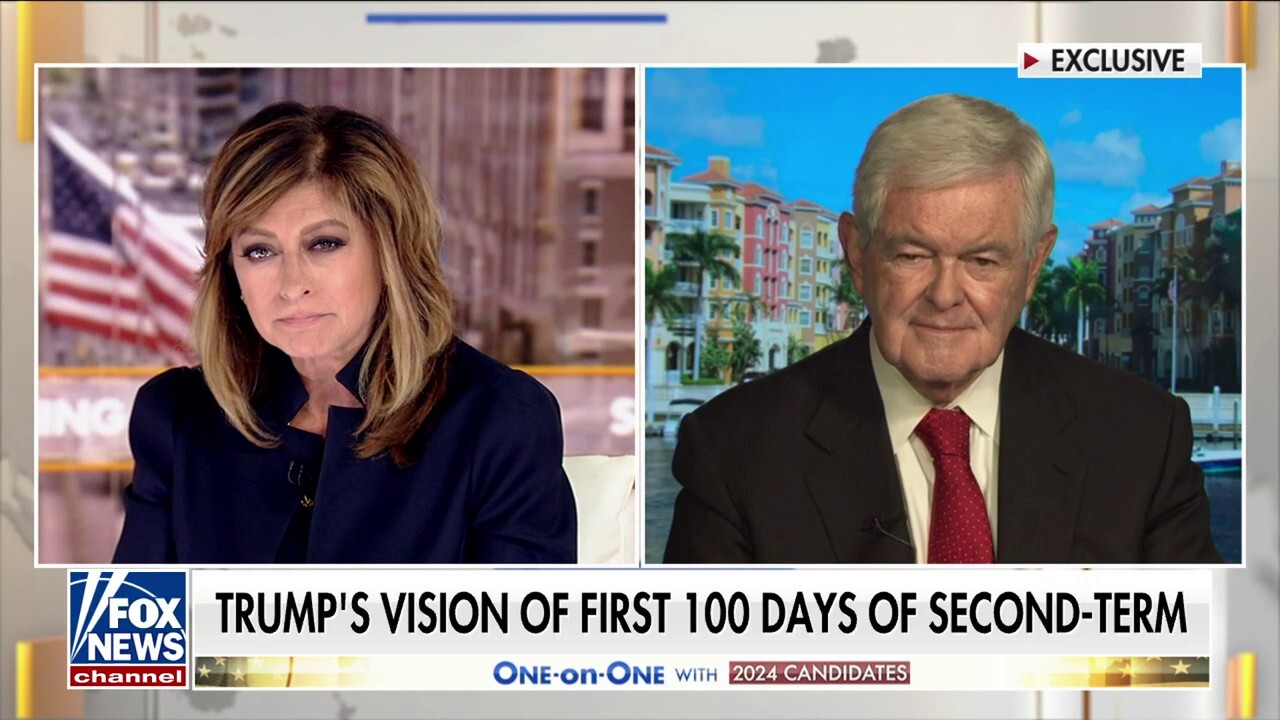 Trump’s first year would be ‘astonishing’: Newt Gingrich