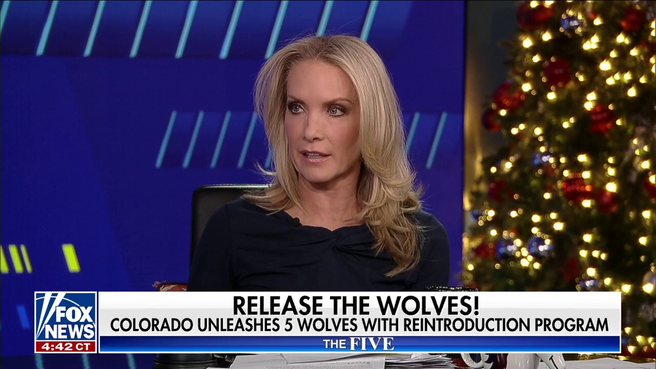 Dana Perino: Liberal priorities seem to be getting 'more unrealistic'