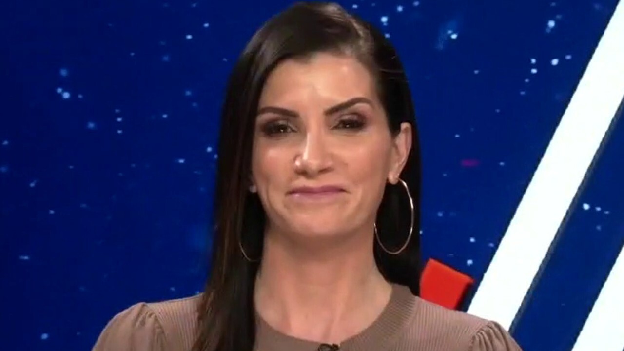 Dana Loesch 'cannot for the life of me figure out' why Dems won't