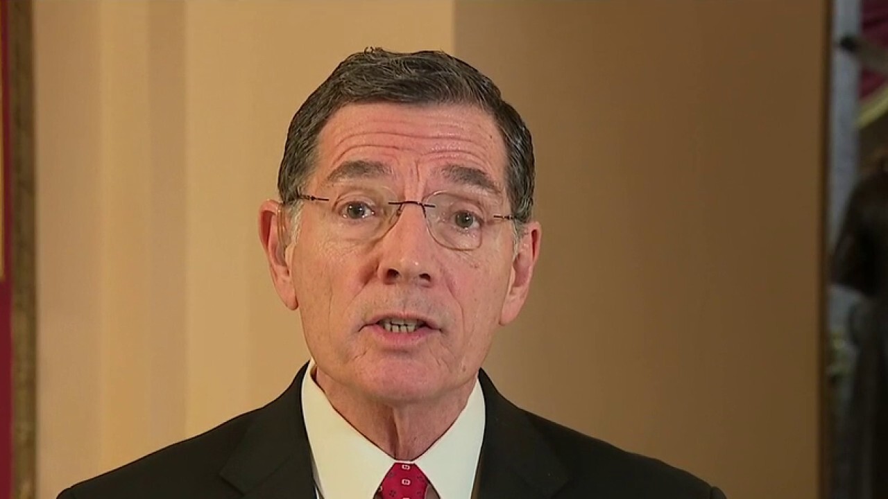 Sen. Barrasso: We need to go big on America's 'rescue operation'  