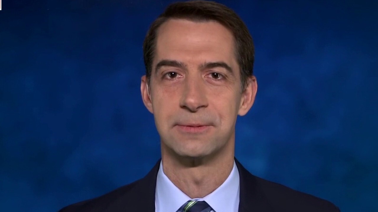 'This is the Biden border crisis': Tom Cotton slams 'amoral' policies from new administration