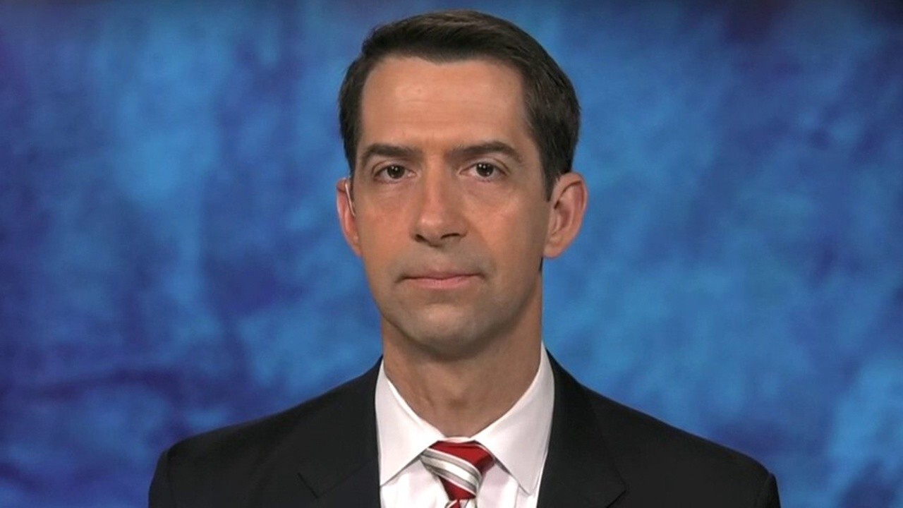 Sen. Cotton on WH guidelines to reopen America, GOP calls for WHO leader to resign
