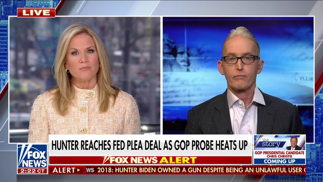 Trey Gowdy: Either the investigation on Hunter Biden is ongoing or it's not