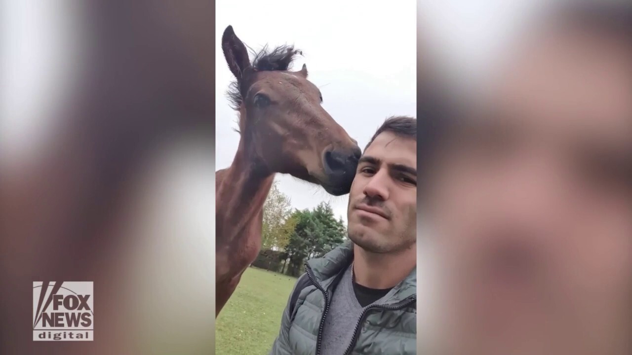 Pet horse roams house: See the sweet video