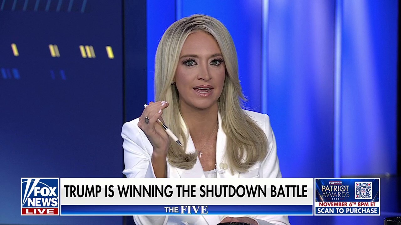 Kayleigh McEnany: Dems are 'maximizing pain' to cater to 'radical, left-wing socialists'