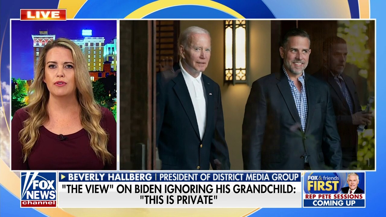 'Fair game': Beverly Hallberg blasts 'The View' for saying Biden ignoring his grandchild is a 'private' matter