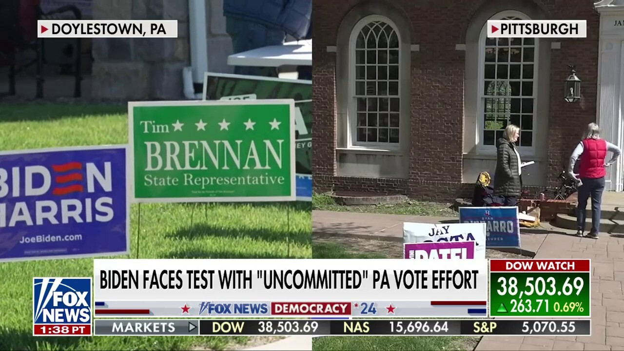 Fox News national correspondent Bryan Llenas reports on the split in the Democratic Party over the Israel-Hamas war and Pennsylvania voters' concerns on 'Your World.'